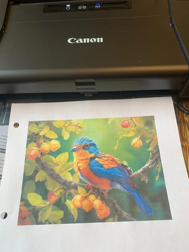 Canon pixma tr150 wireless - pixma,
